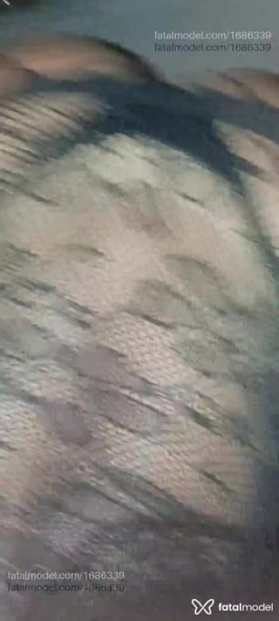 Acompanhante mulher trans morena (o) de olhos pretos - Tifanny