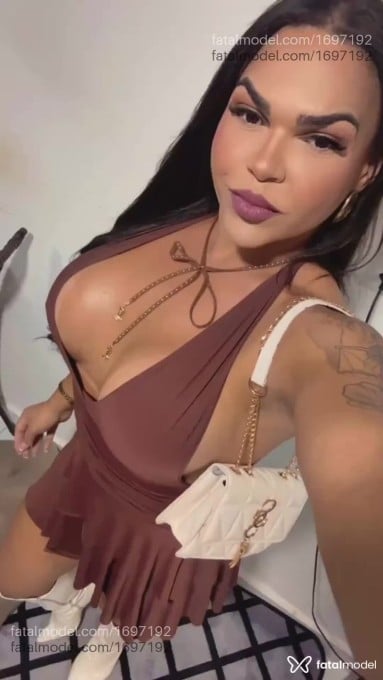 Acompanhante mulher trans com cabelo castanho de olhos castanhos em Petrolina - Danielly