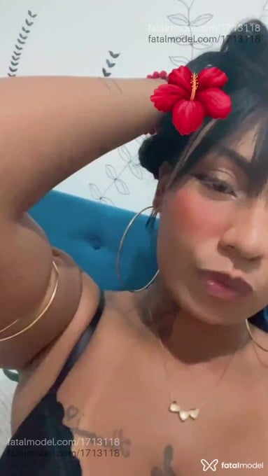 Vídeo 1