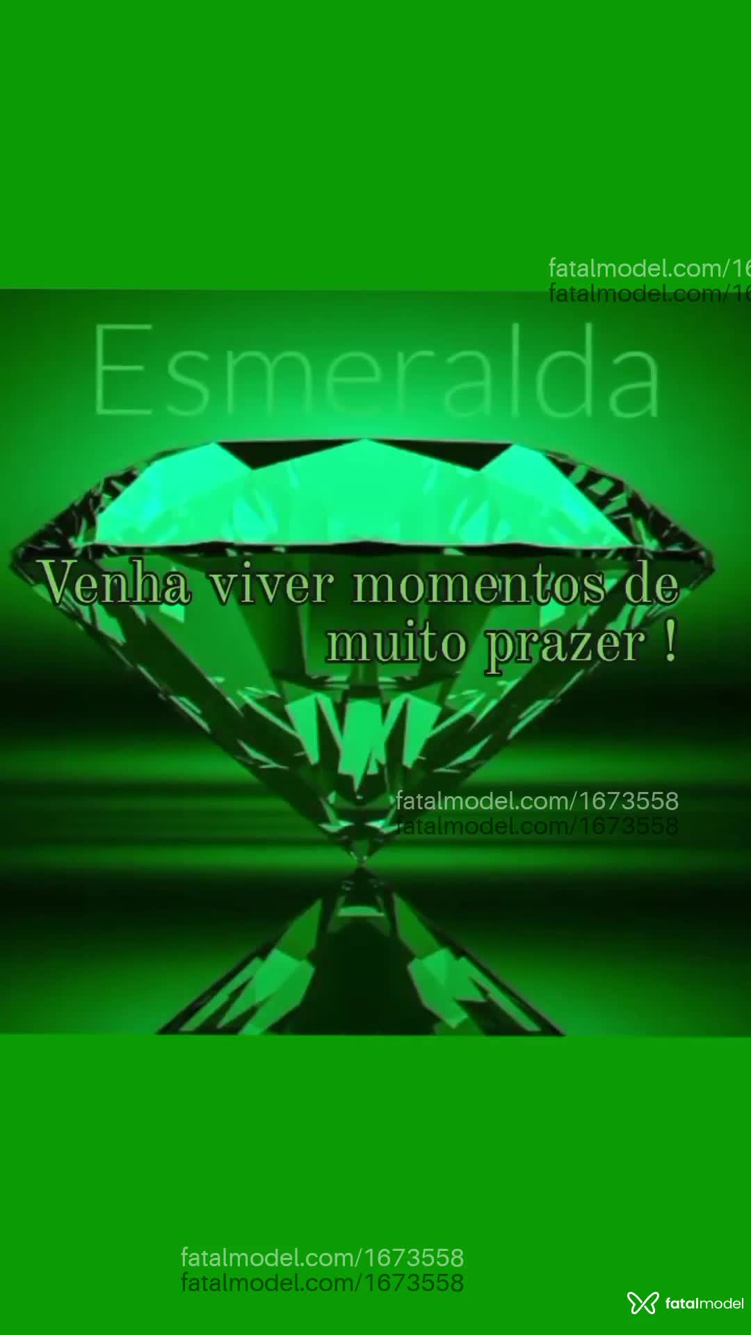 Vídeo 6