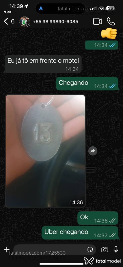 Acompanhante mulher trans com cabelo castanho de olhos castanhos - Taty ketelem
