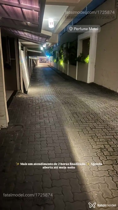 Acompanhante mulher morena (o) de olhos castanhos em Fortaleza - Alice