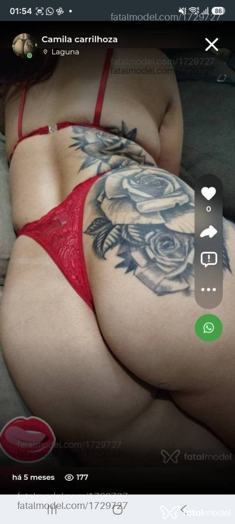 Acompanhante mulher com cabelo castanho de olhos castanhos - Camila carrilhoza