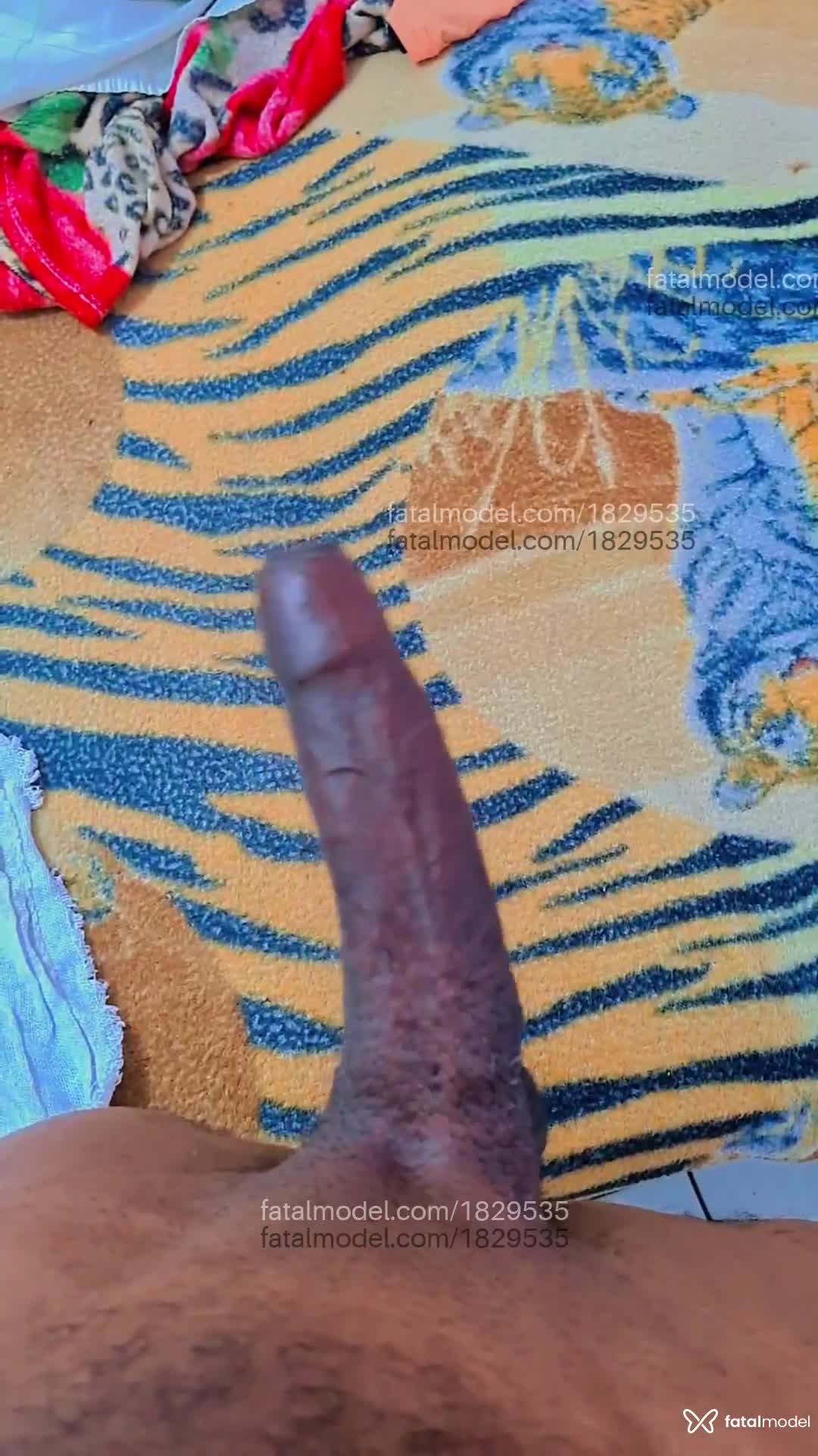 Conheça Eduardopureira Acompanhante Em Carapicuíba