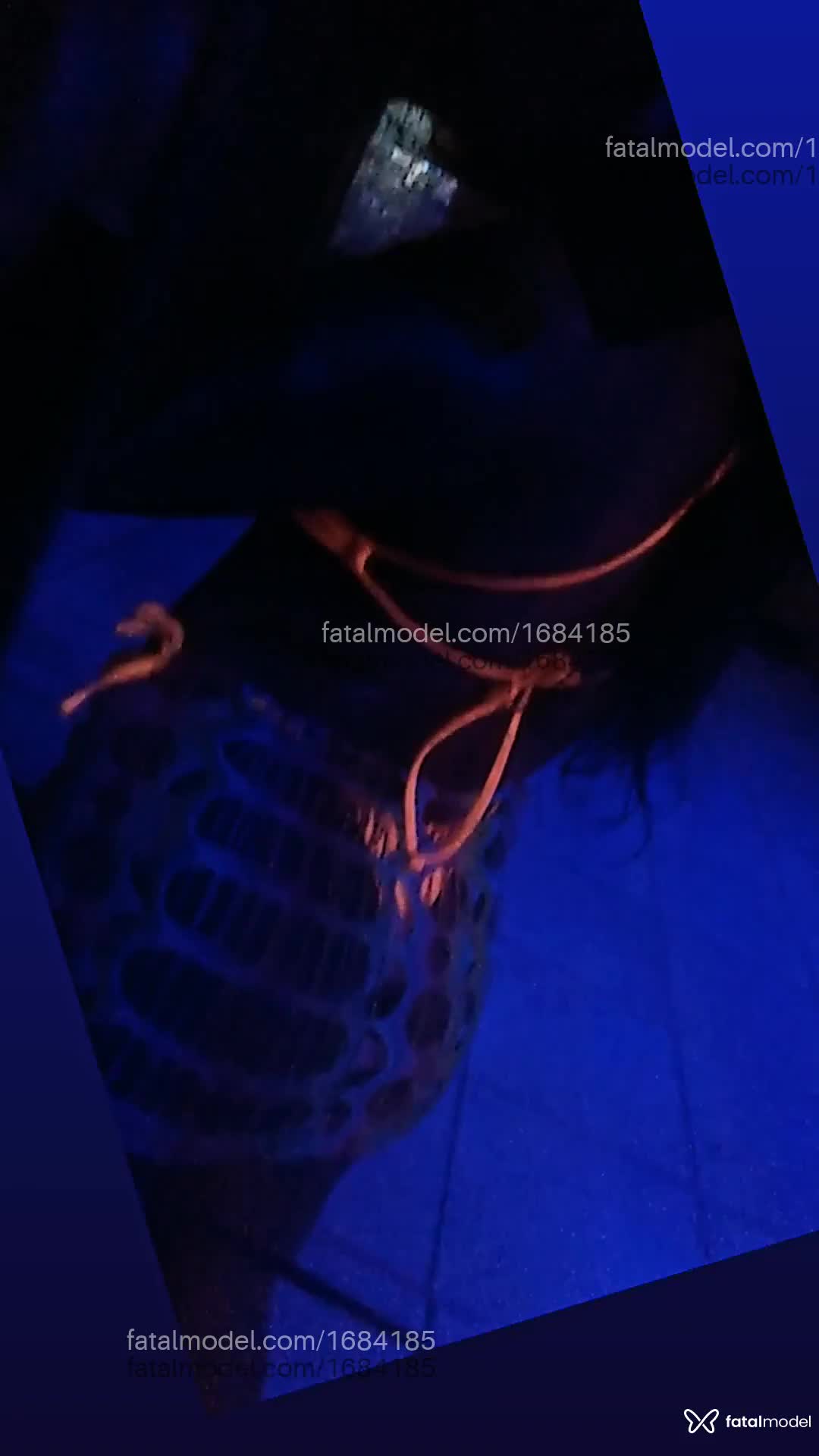 Acompanhante mulher morena (o) de olhos pretos em Virtual - Kamylle