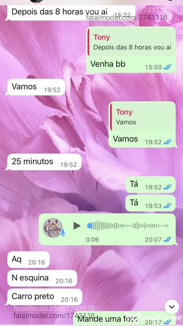 Acompanhante mulher trans com cabelo castanho de olhos castanhos em Palmas - Kallyoliver