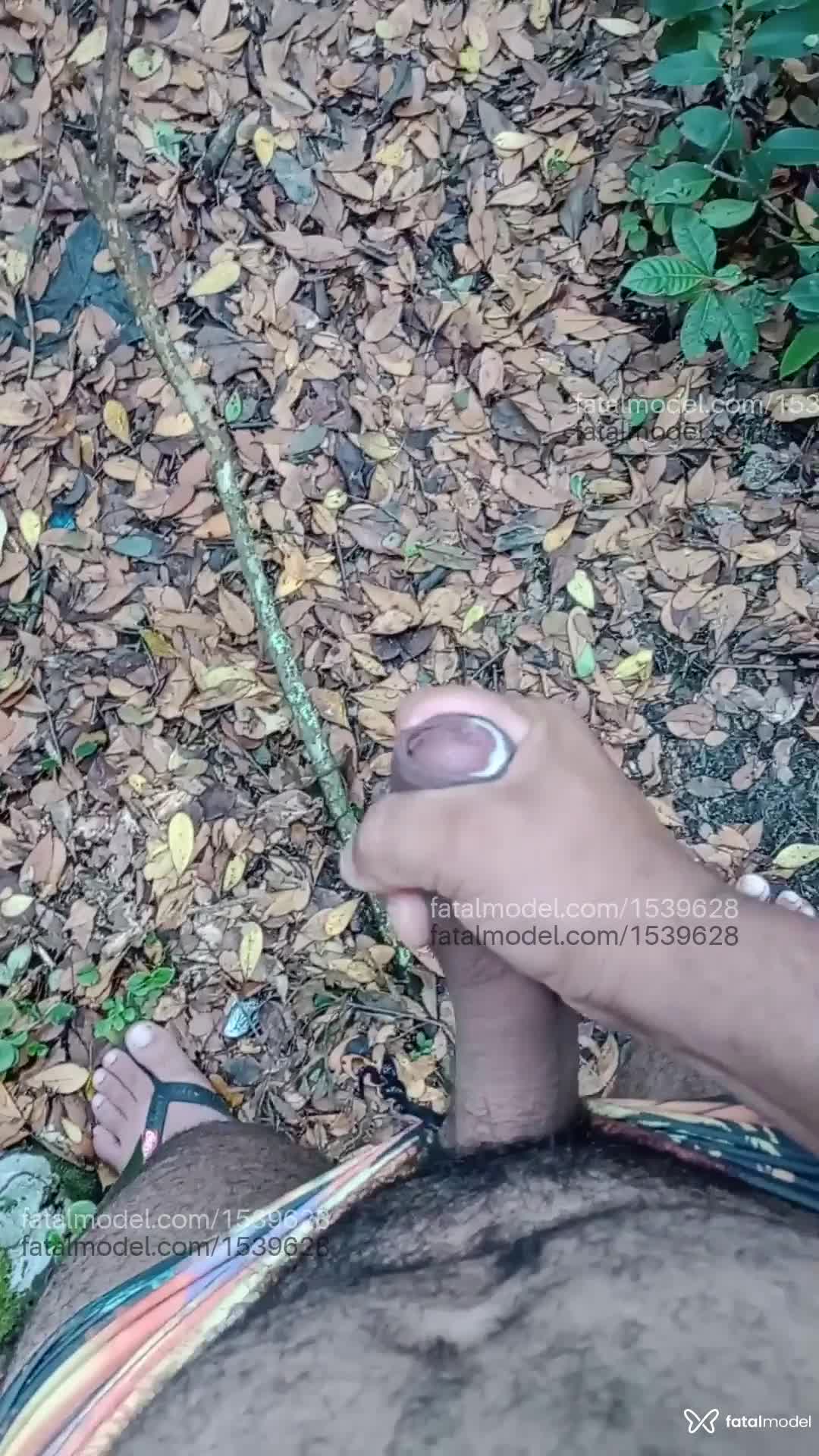 Acompanhante homem morena (o) de olhos castanhos em Chapecó Acompanhante homem morena (o) de olhos castanhos em Chapecó - Gil lima