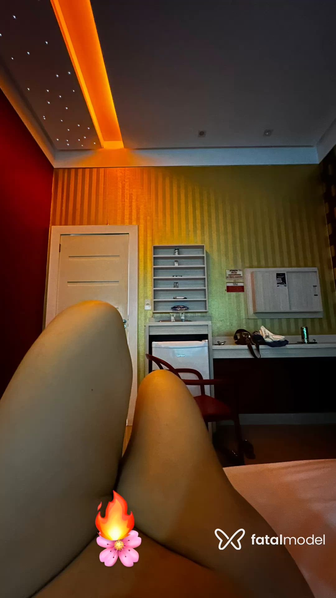 Vídeo 2