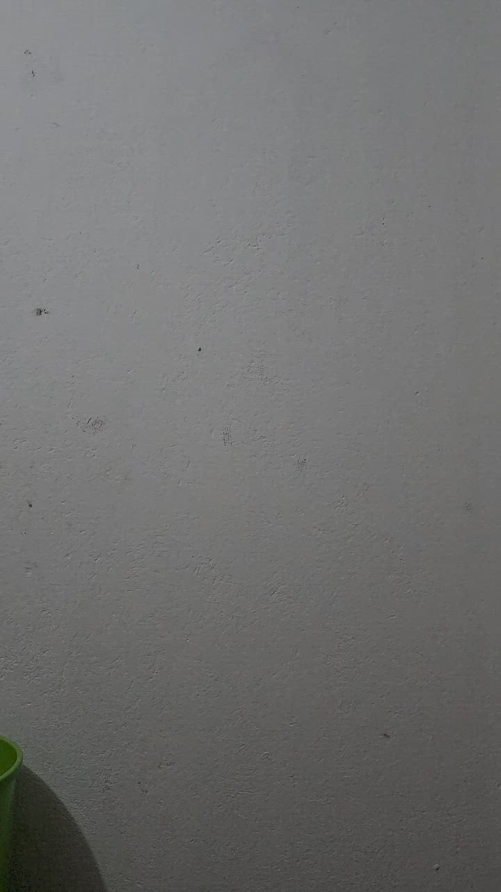 Vídeo 9