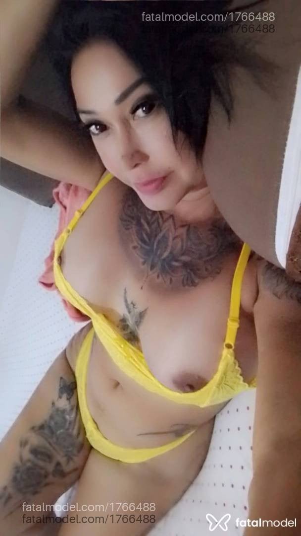 Acompanhante mulher trans morena (o) de olhos castanhos - Sheilinha