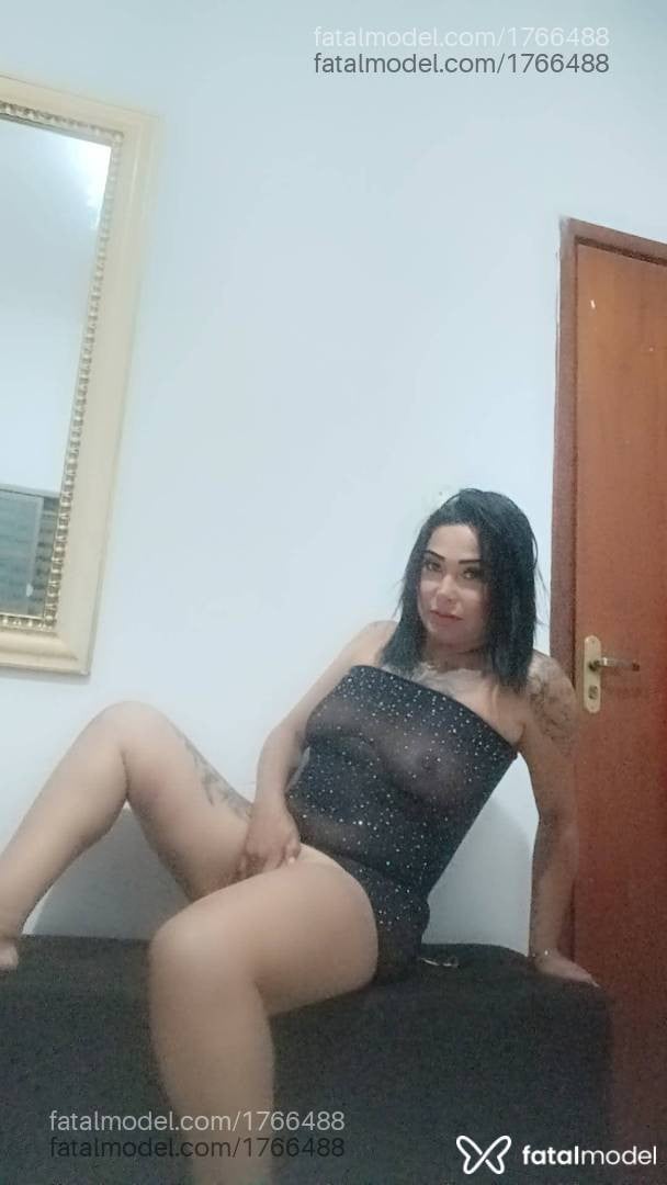 Acompanhante mulher trans morena (o) de olhos castanhos em Araxá - Sheilinha