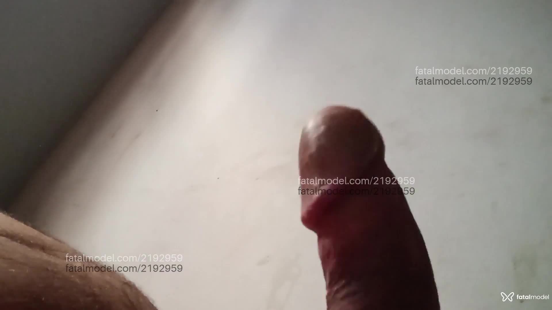 Acompanhante homem morena (o) de olhos castanhos em São Luís - Sterfersson