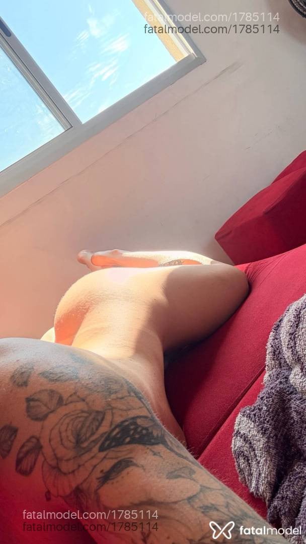 Acompanhante mulher trans morena (o) de olhos castanhos em Goiânia - Alice