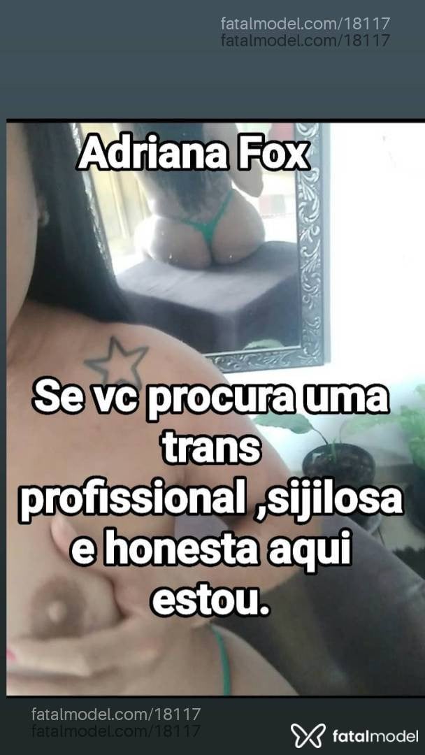 Imagem 7