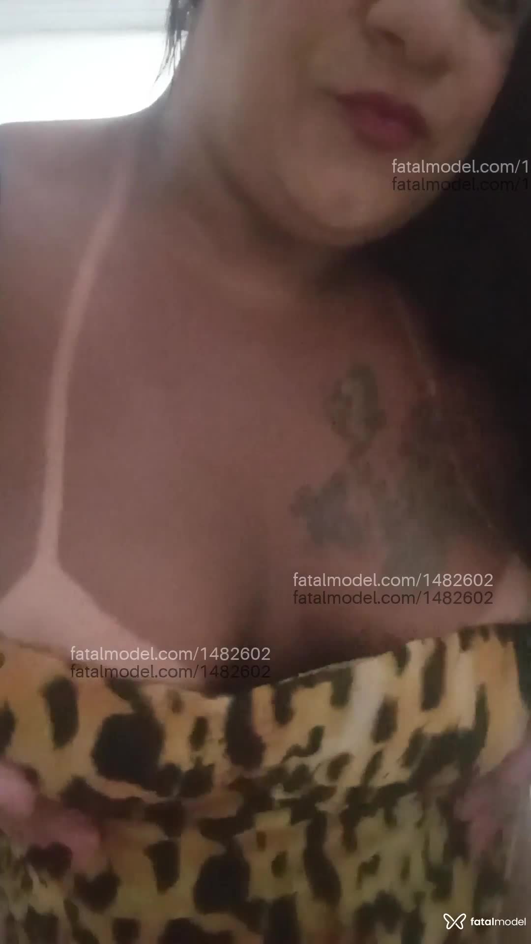 Acompanhante mulher trans morena (o) de olhos pretos em Salvador - Monique pantera