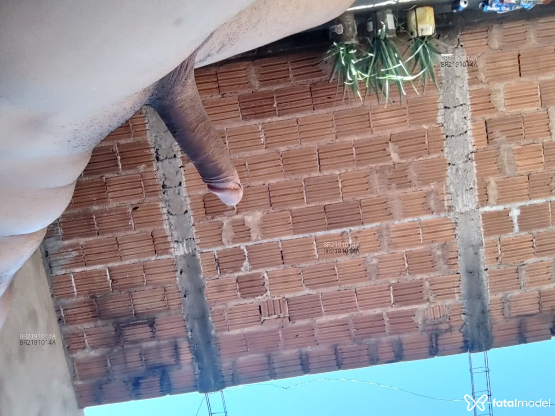 Acompanhante homem morena (o) de olhos castanhos em Uberaba - Carlos