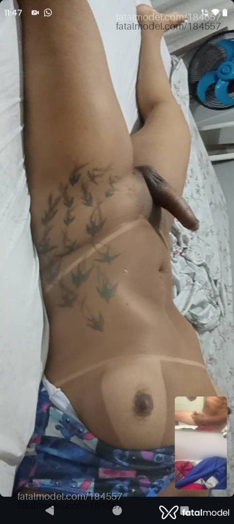 Acompanhante mulher trans morena (o) de olhos castanhos em Camaçari - Lana Santos