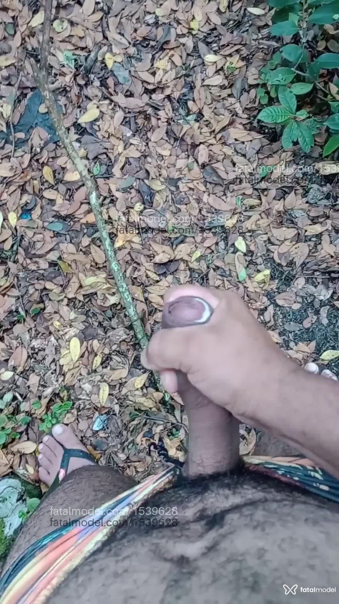 Acompanhante homem morena (o) de olhos castanhos em Chapecó Acompanhante homem morena (o) de olhos castanhos em Chapecó - Gil lima