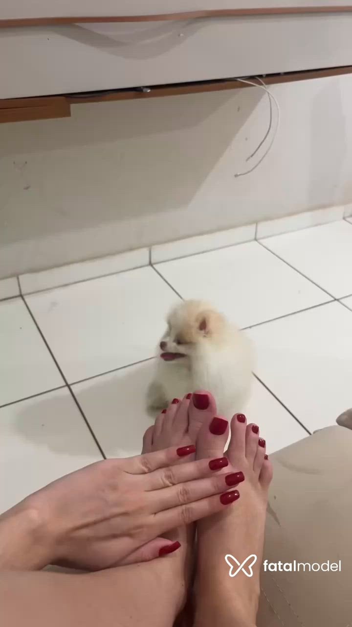 Vídeo 2