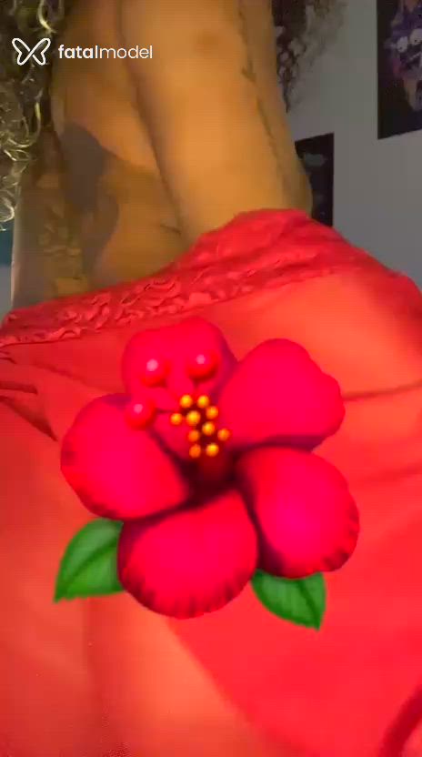 Acompanhante mulher loira (o) de olhos castanhos - Morena Jambo