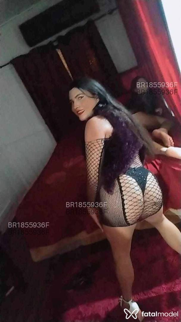 Acompanhante mulher trans morena (o) de olhos castanhos em Guaramirim - Dayse silva