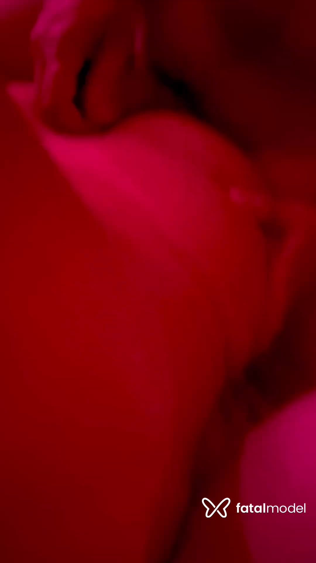 Vídeo 11