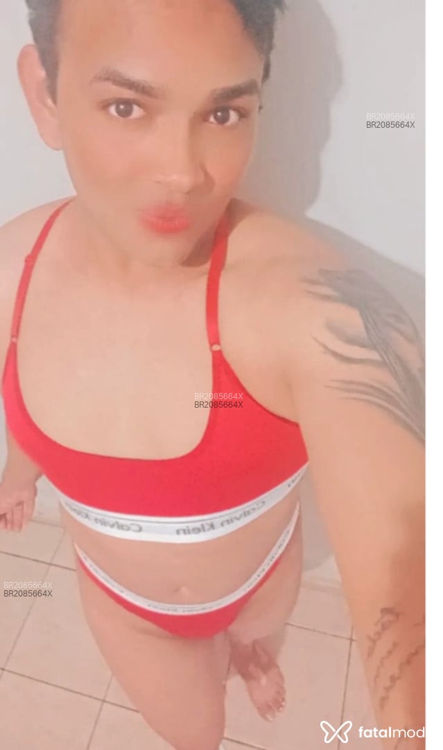 Acompanhante mulher trans morena (o) de olhos castanhos em Brasília - Stefany Lorrane