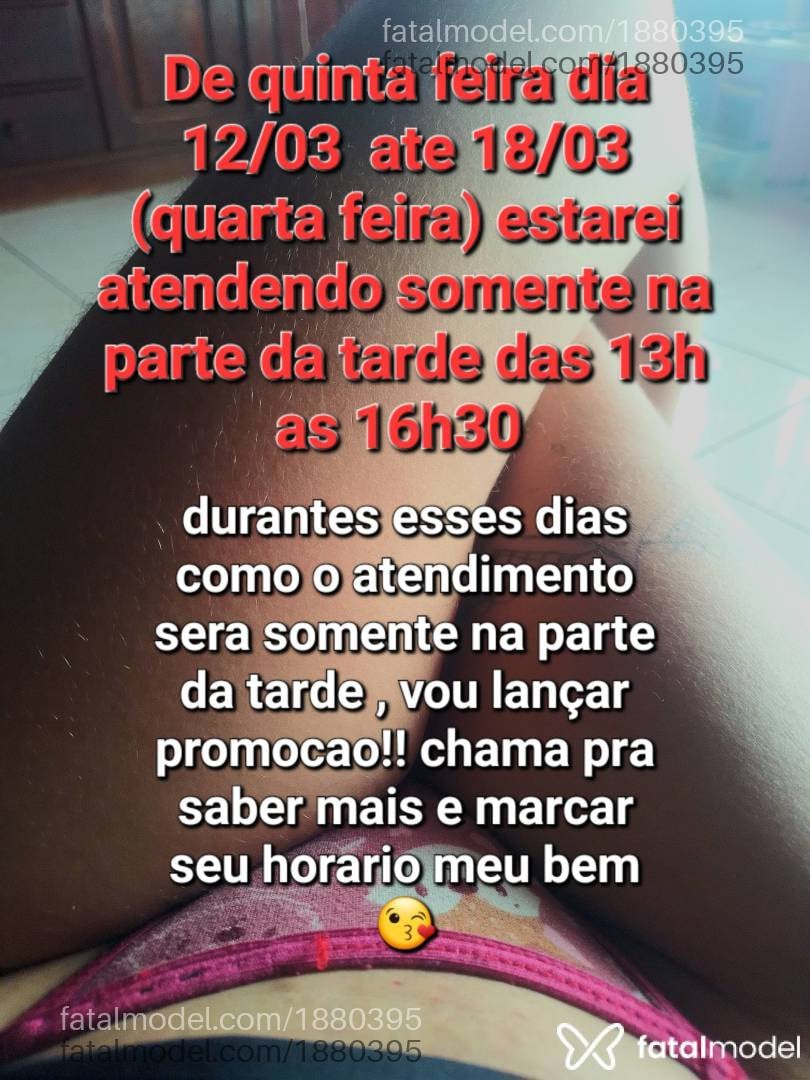 Acompanhante mulher morena (o) de olhos castanhos em Sinop - GataPg
