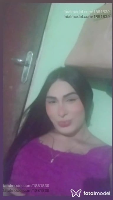 Acompanhante mulher trans morena (o) de olhos pretos em Belém - Davila Sofia