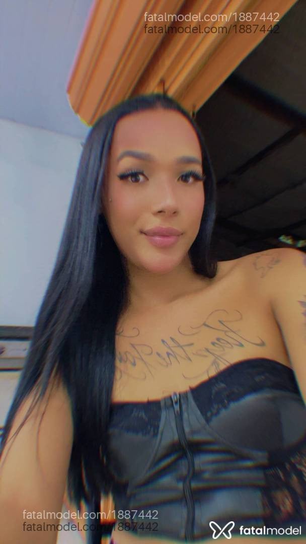 Acompanhante mulher trans morena (o) de olhos pretos em Londrina - Kaylli dantas
