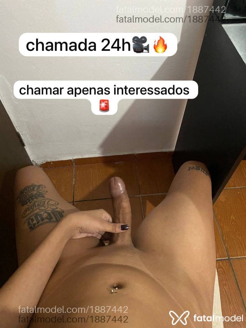Acompanhante mulher trans morena (o) de olhos pretos em Virtual - Kaylli dantas