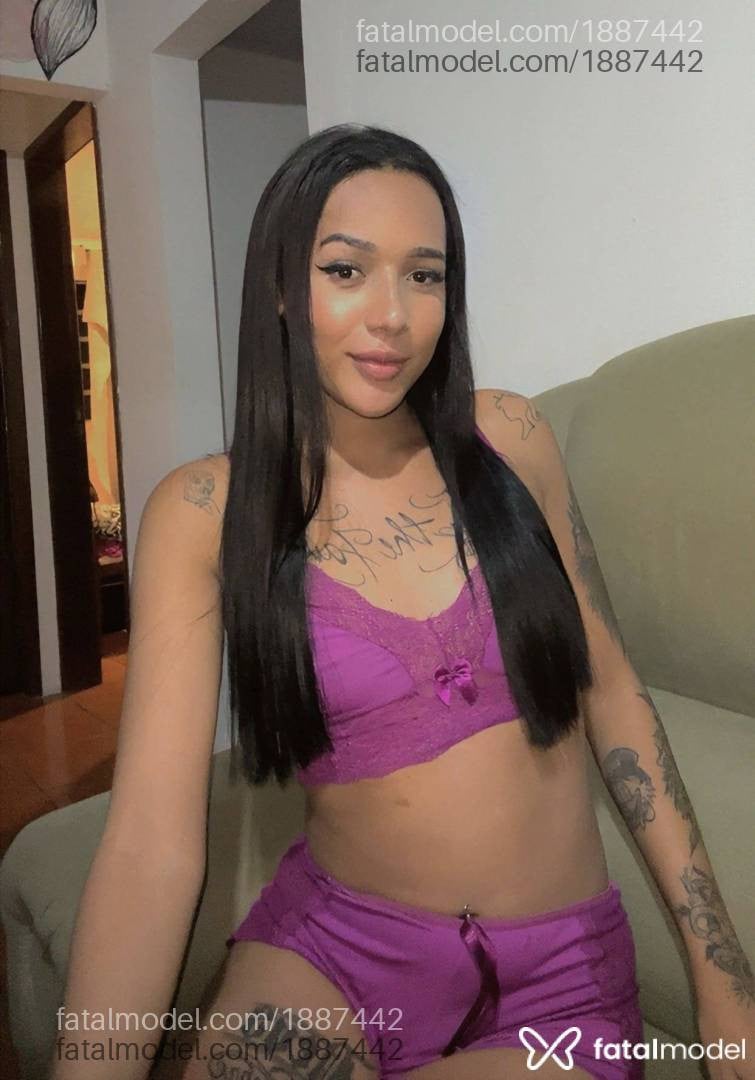 Acompanhante mulher trans morena (o) de olhos pretos em Londrina - Kaylli dantas