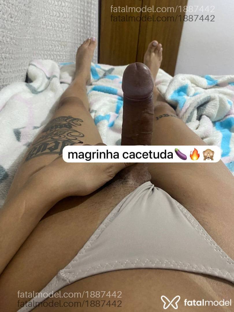 Acompanhante mulher trans morena (o) de olhos pretos - Kaylli dantas