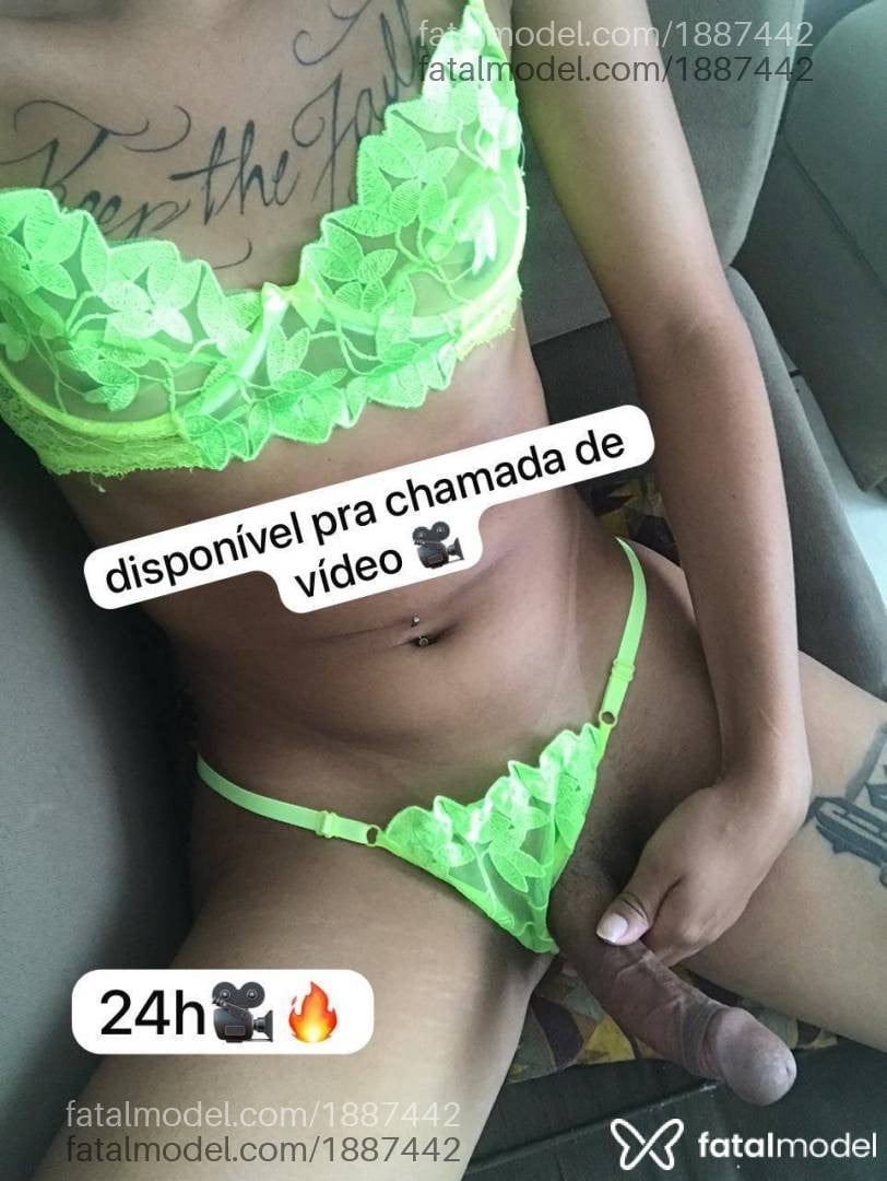Acompanhante mulher trans morena (o) de olhos pretos em Virtual - Kaylli dantas