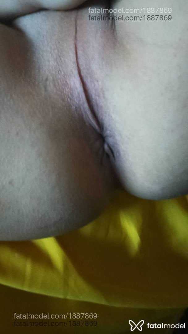Acompanhante mulher trans morena (o) de olhos castanhos em Parauapebas Acompanhante mulher trans morena (o) de olhos castanhos em Parauapebas - Paola bracho