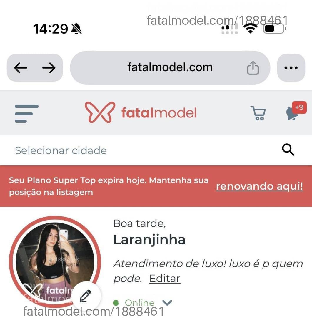 Acompanhante mulher com cabelo castanho de olhos castanhos - Laranjinha