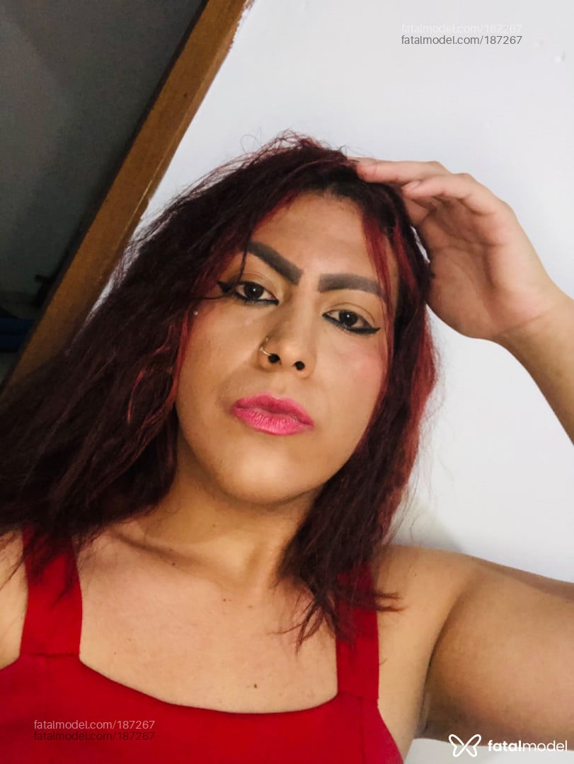 Acompanhante travesti morena (o) de olhos castanhos em Franca - BRENDA SOPHIAN