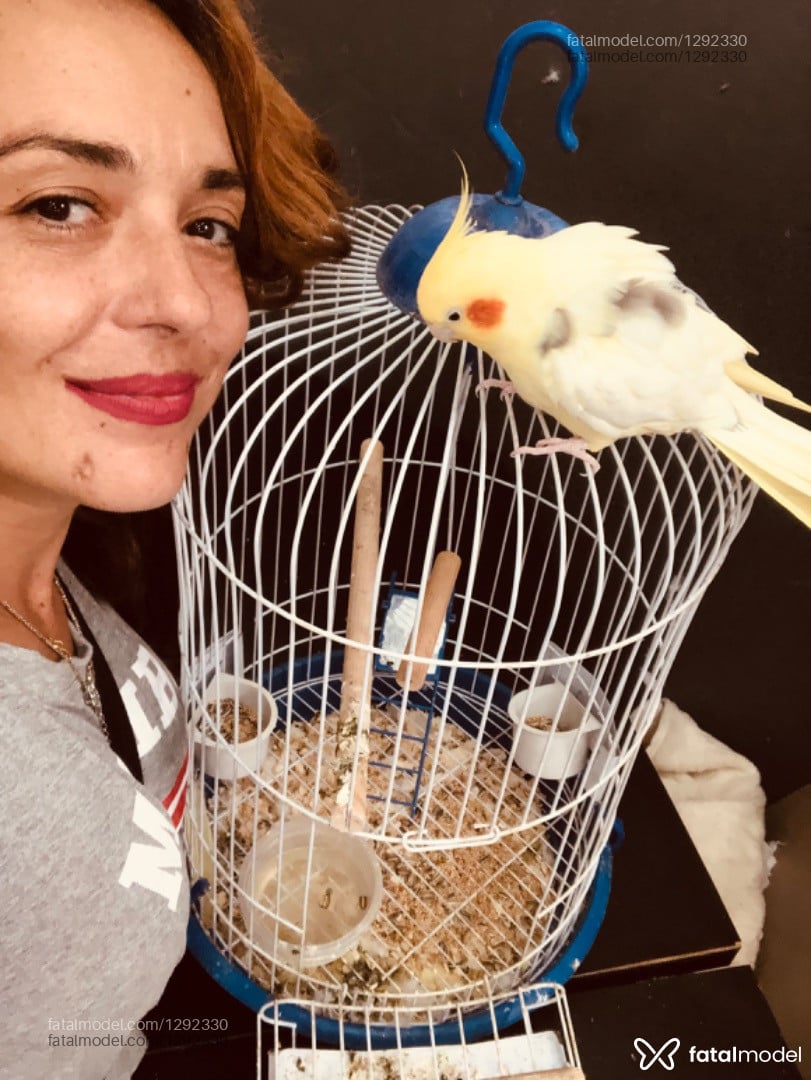 Acompanhante mulher com cabelo castanho de olhos castanhos em Rolim de Moura - Advogada