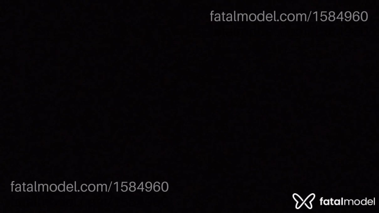Vídeo 4