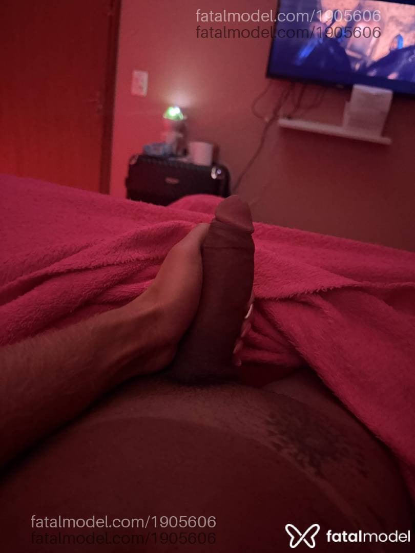 Acompanhante mulher trans morena (o) de olhos castanhos - Brenda Eloísa