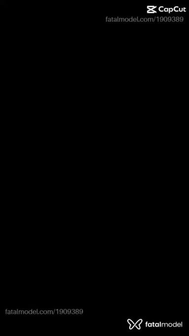 Vídeo 2