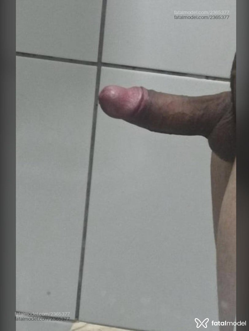 Imagem 3