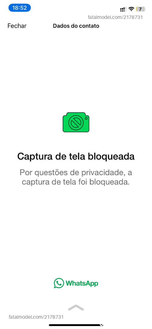 Acompanhante mulher com cabelo castanho de olhos pretos em Virtual - Samara
