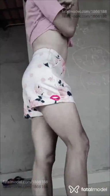 Acompanhante mulher trans morena (o) de olhos castanhos em Palmas - Carlim