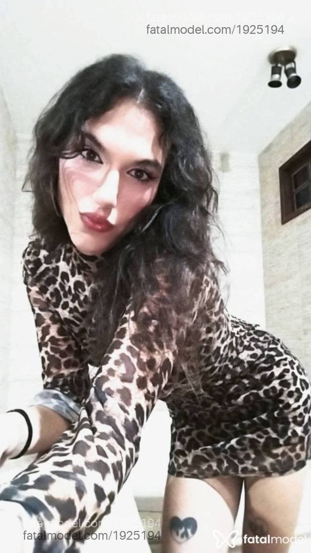 Acompanhante mulher trans com cabelo castanho de olhos mel em Macaé Acompanhante mulher trans com cabelo castanho de olhos mel em Macaé - Agatha