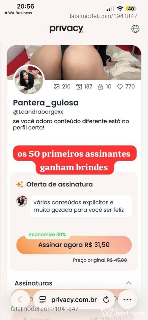 Acompanhante mulher com cabelo castanho de olhos castanhos - Pantera