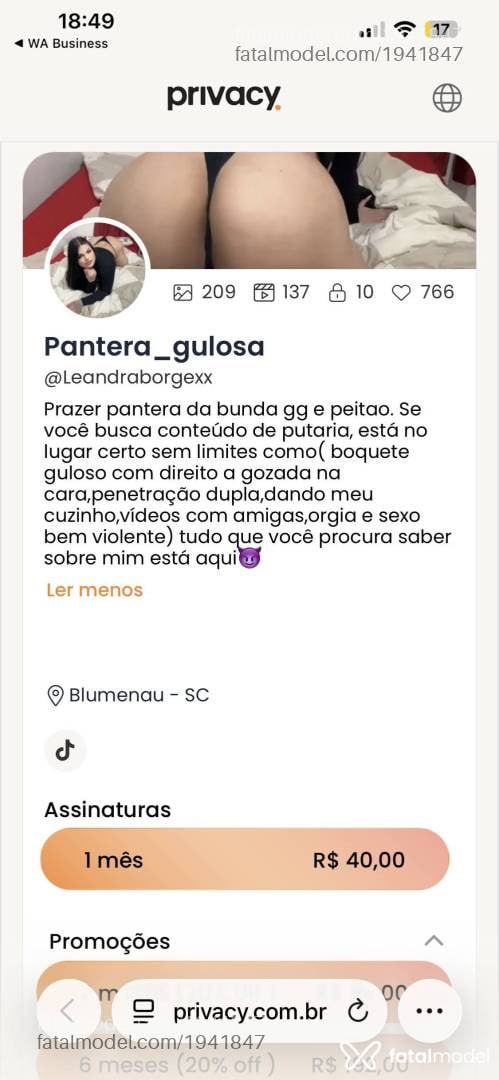 Acompanhante mulher com cabelo castanho de olhos castanhos em Blumenau - Pantera