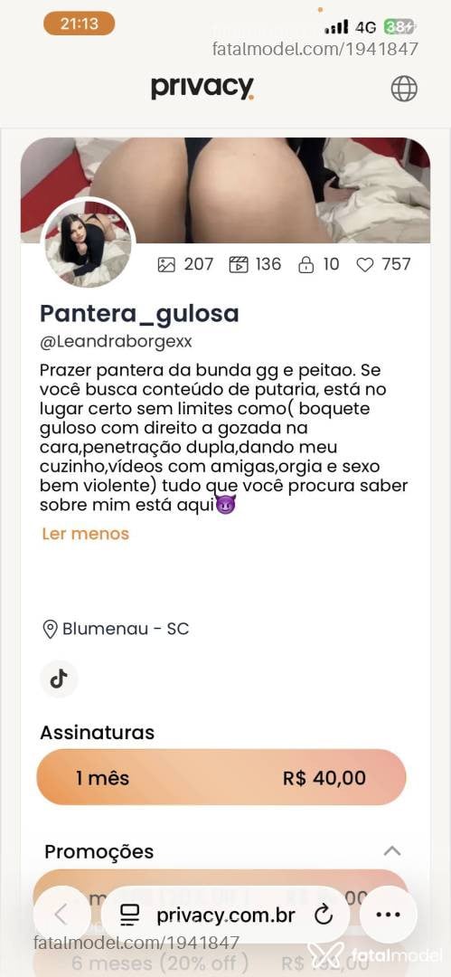 Acompanhante mulher com cabelo castanho de olhos castanhos em Blumenau - Pantera