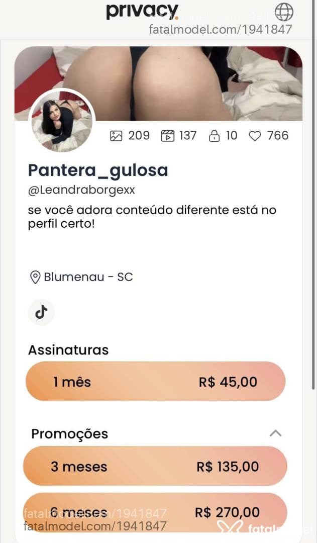 Acompanhante mulher com cabelo castanho de olhos castanhos em Blumenau - Pantera