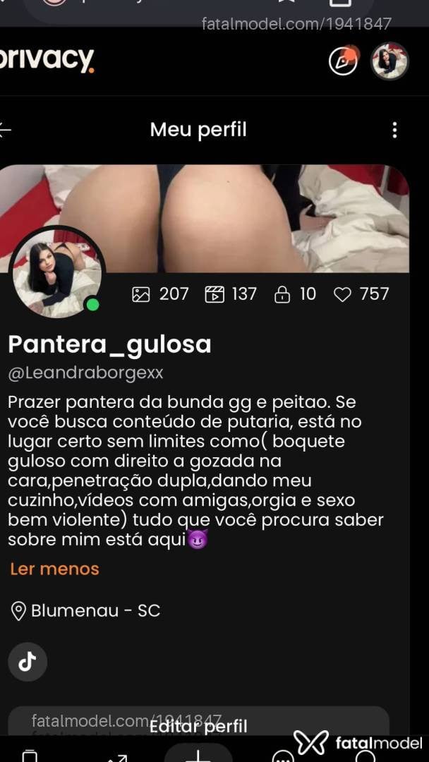 Acompanhante mulher com cabelo castanho de olhos castanhos em Blumenau - Pantera